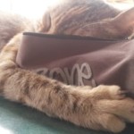 Michi Tribu Perú - Photos China