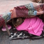 Michi Tribu Perú - Photos Hampiri+