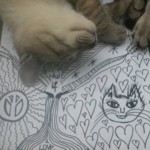 Michi Tribu Perú - Photos Mokka