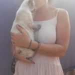 Michi Tribu Perú - Photos Mokka