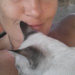 Michi Tribu Perú - Photos Mokka