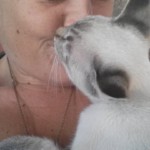 Michi Tribu Perú - Photos Mokka