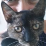 Michi Tribu Perú - Photos Mystica