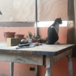 Michi Tribu Perú - Photos Tarzan