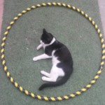 Michi Tribu Perú - Photos Tarzan