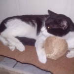 Michi Tribu Perú - Photos Tarzan