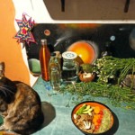 Michi Tribu Perú - Photos Tormenta