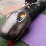 Michi Tribu Perú - Photos Wayki