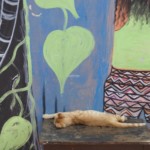 Michi Tribu Perú - Photos Zion